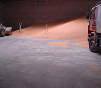 Pavishield-è-certificato-per-l'uso-a-contatto-con-alimenti